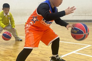 哪里有针对初学者的篮球训练辅导?全面指南与推荐